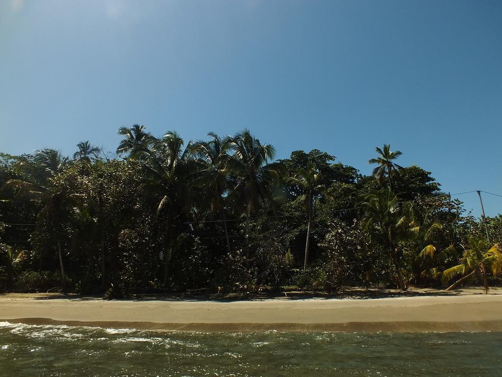 Cabinas Caribe Luna 까위따 외부 사진