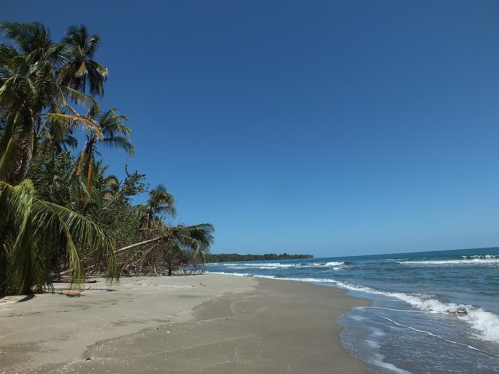Cabinas Caribe Luna 까위따 외부 사진