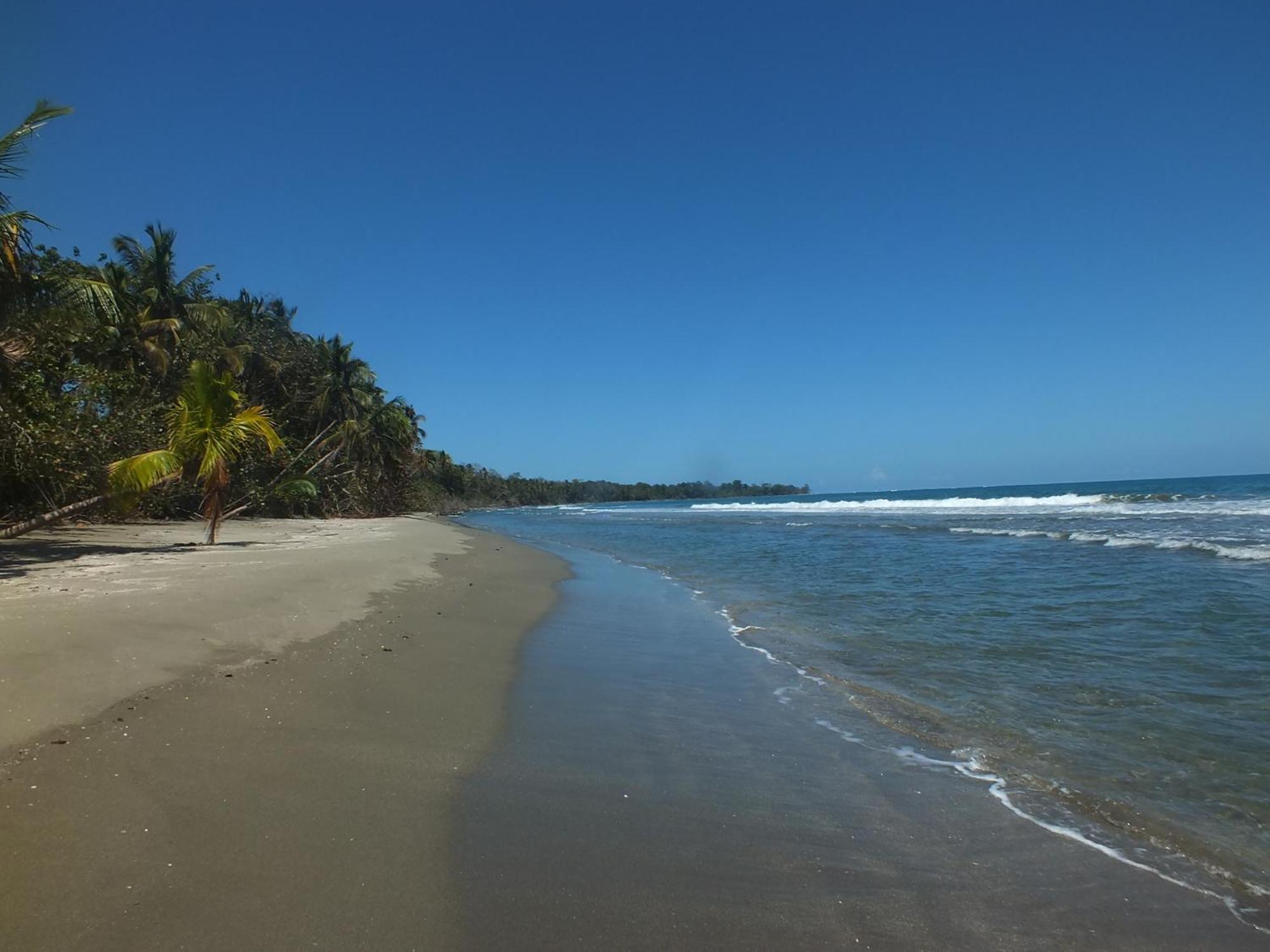 Cabinas Caribe Luna 까위따 외부 사진