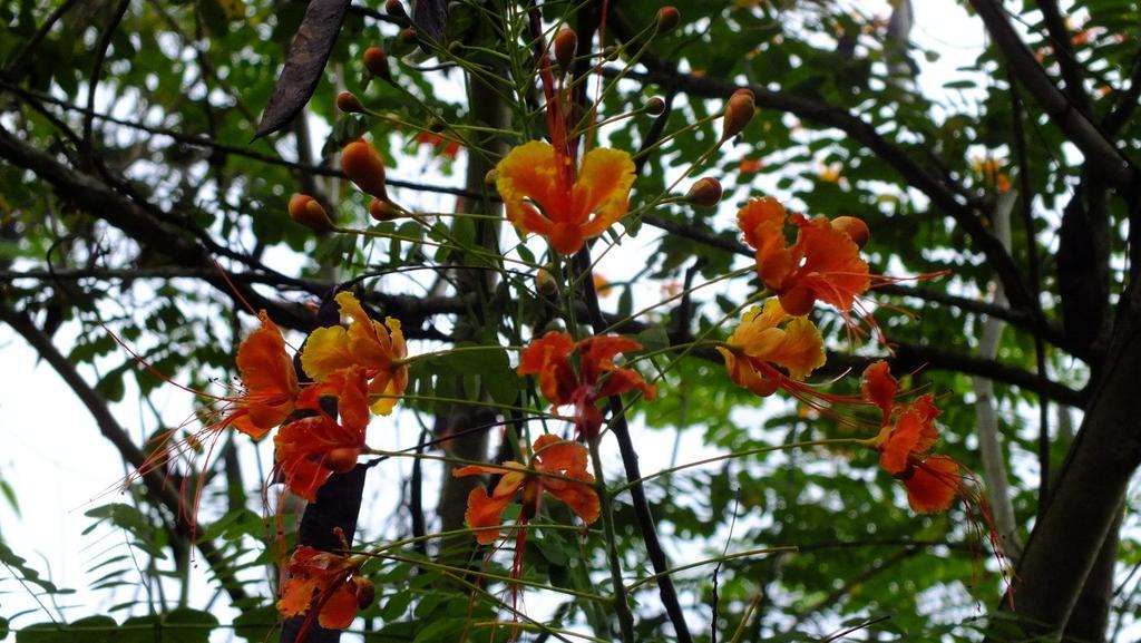 Cabinas Caribe Luna 까위따 외부 사진
