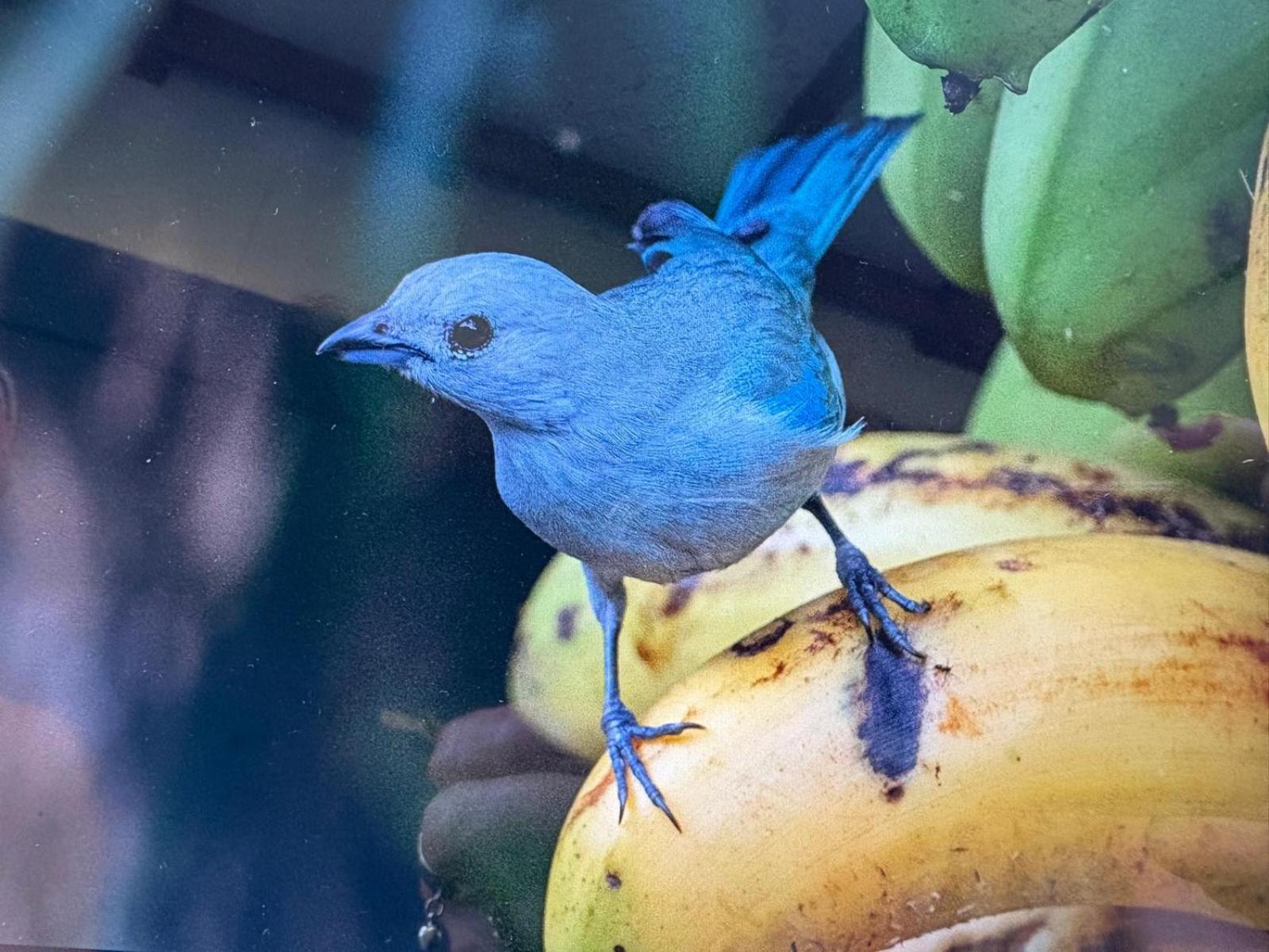 Cabinas Caribe Luna 까위따 외부 사진