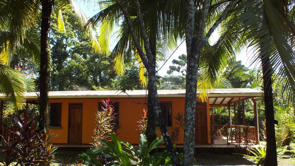 Cabinas Caribe Luna 까위따 외부 사진