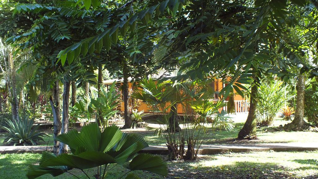Cabinas Caribe Luna 까위따 외부 사진