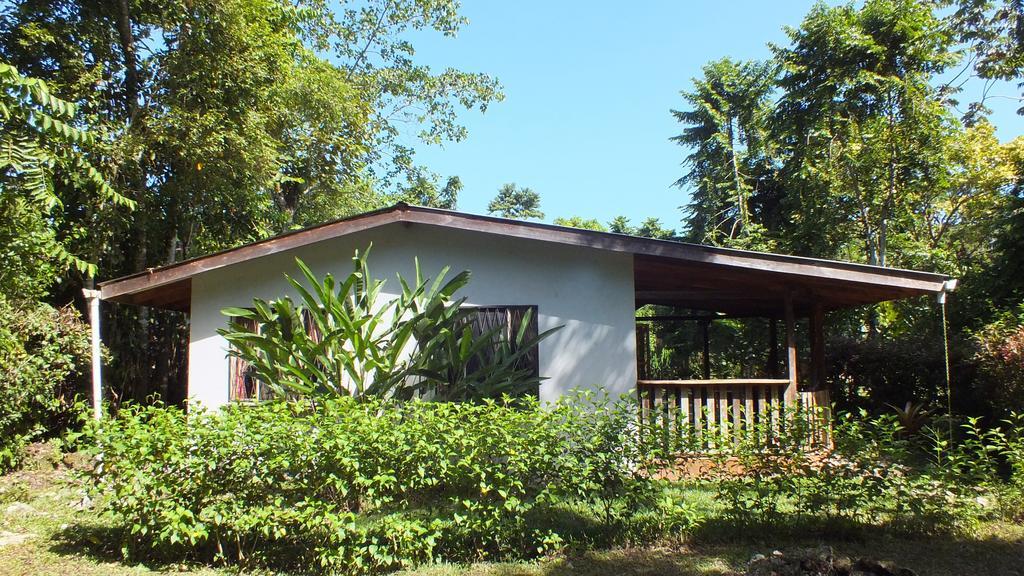 Cabinas Caribe Luna 까위따 외부 사진